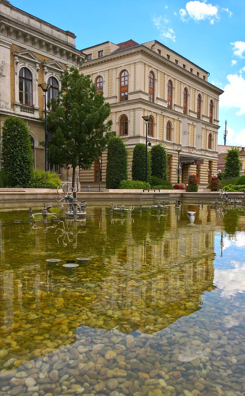 韩星最新动态，璀璨娱乐圈更新迭起的风采