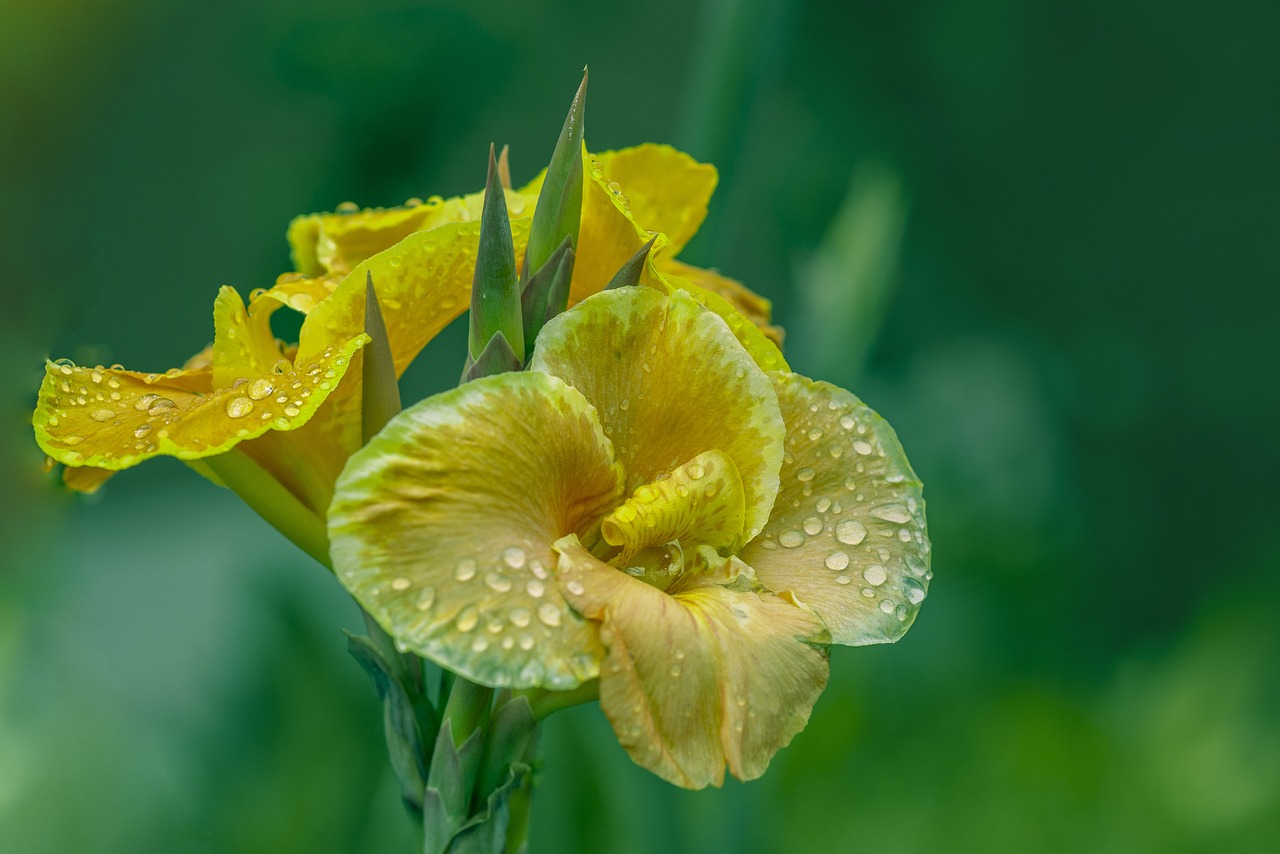崂山牟家，传承与发展的融合之美最新动态