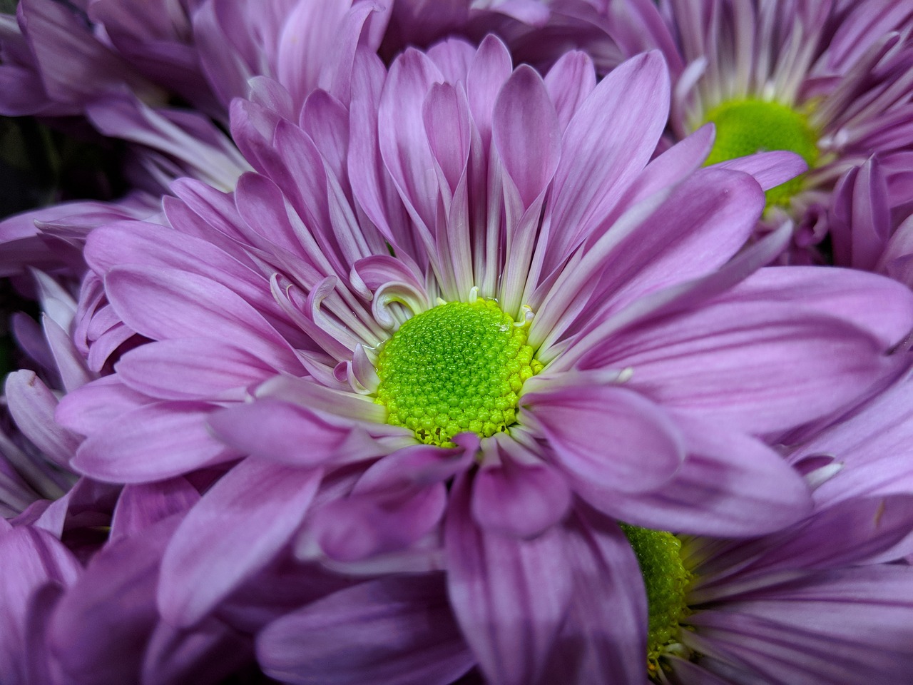 早安微博最新动态,开启美好一天的第一缕阳光