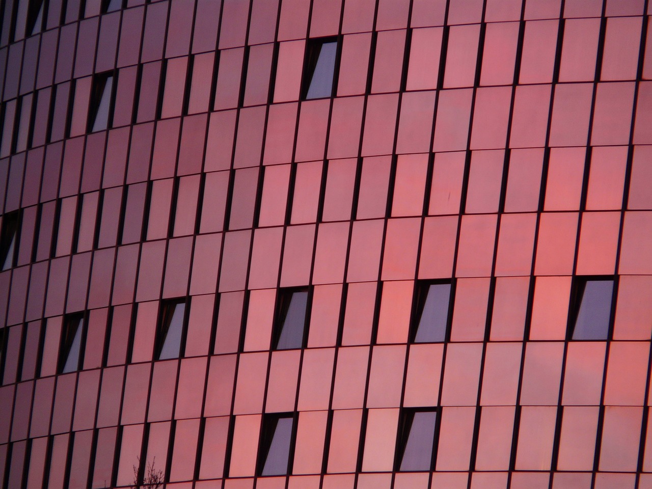 探索网红经济新领域与趋势，最新网红资讯动态