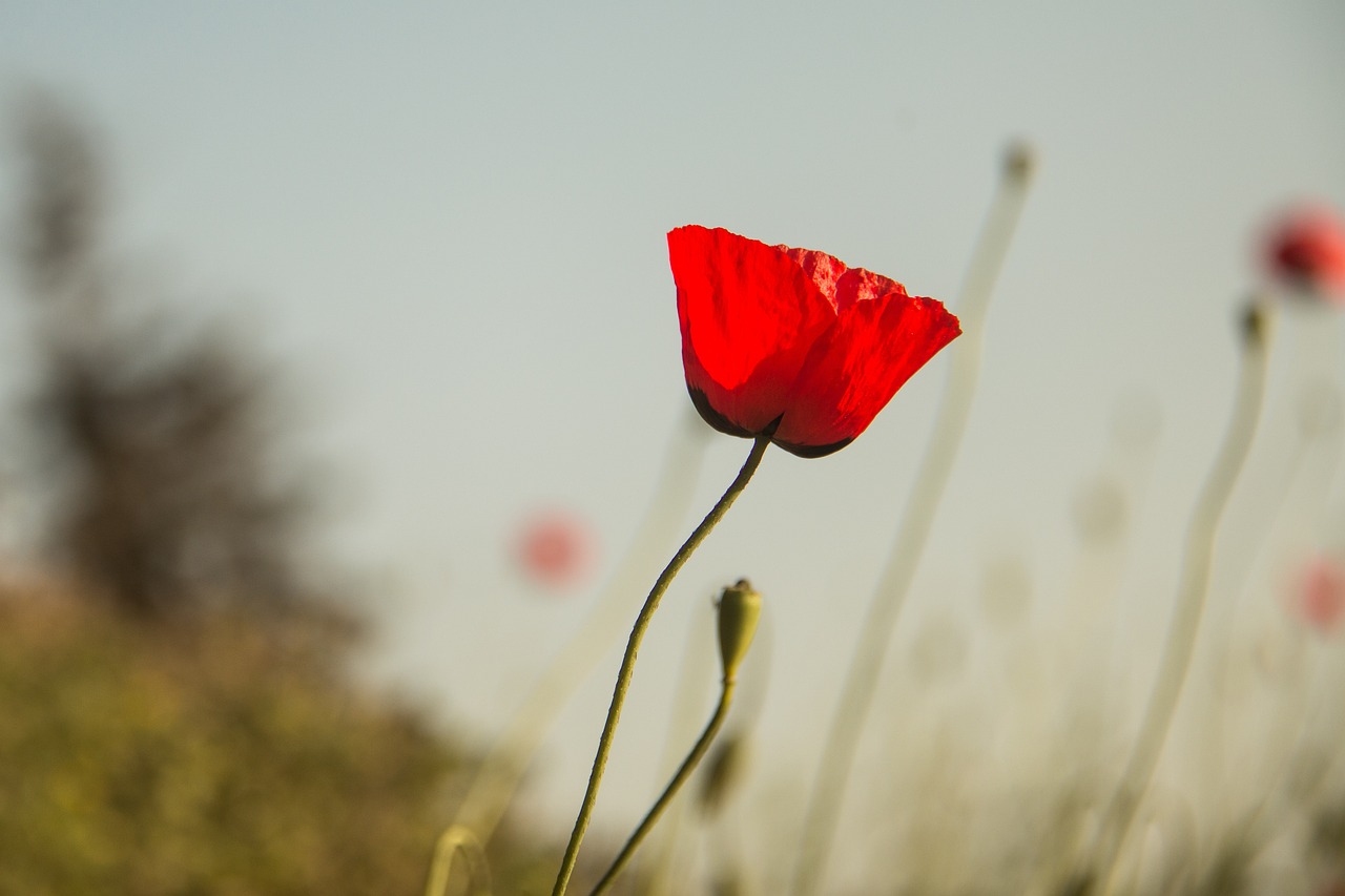 台风最新动态，影响及应对措施更新报告
