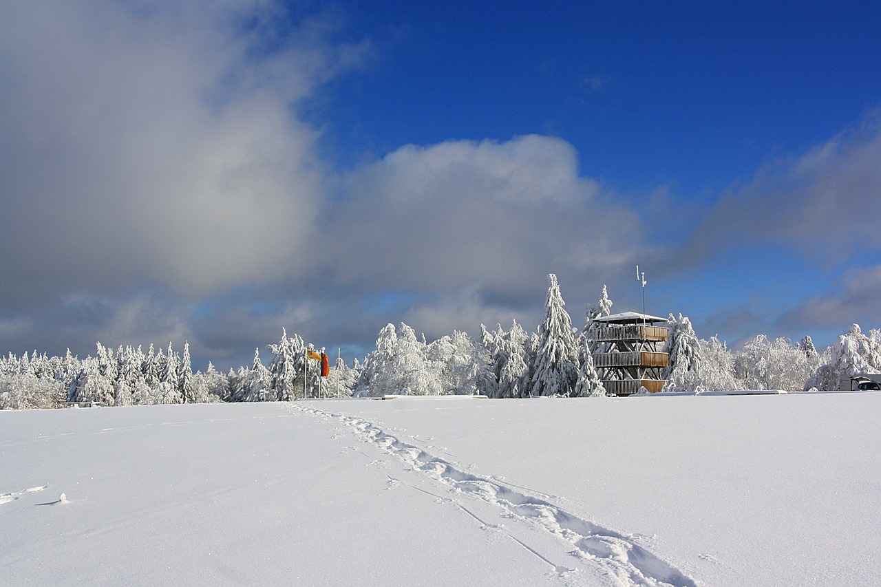 畅巡最新价格动态深度解析与全面展示