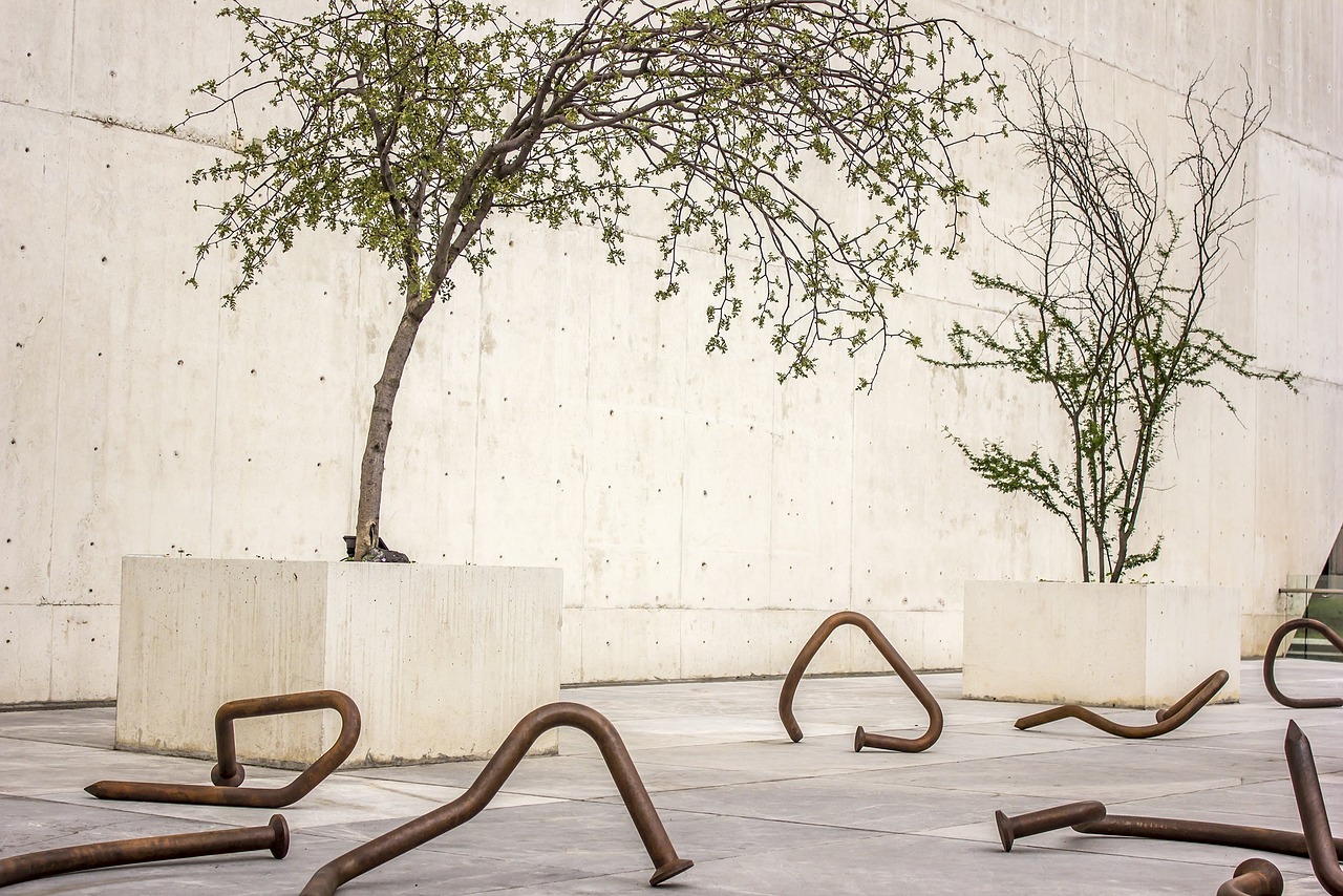 古典之美与现代演绎的交融,最新如梦令探秘