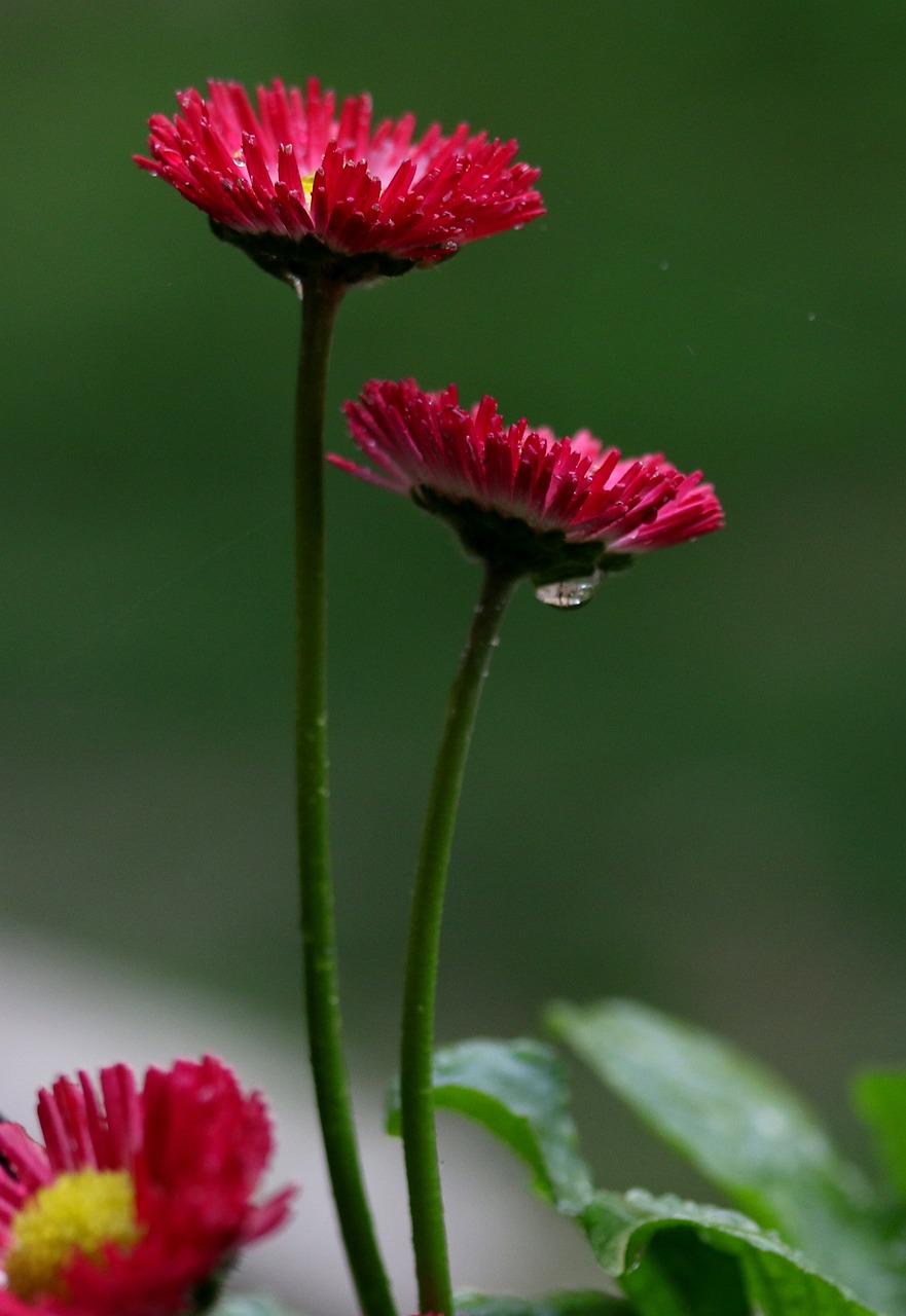 多多最新诗歌，探索心灵深处的诗意之美