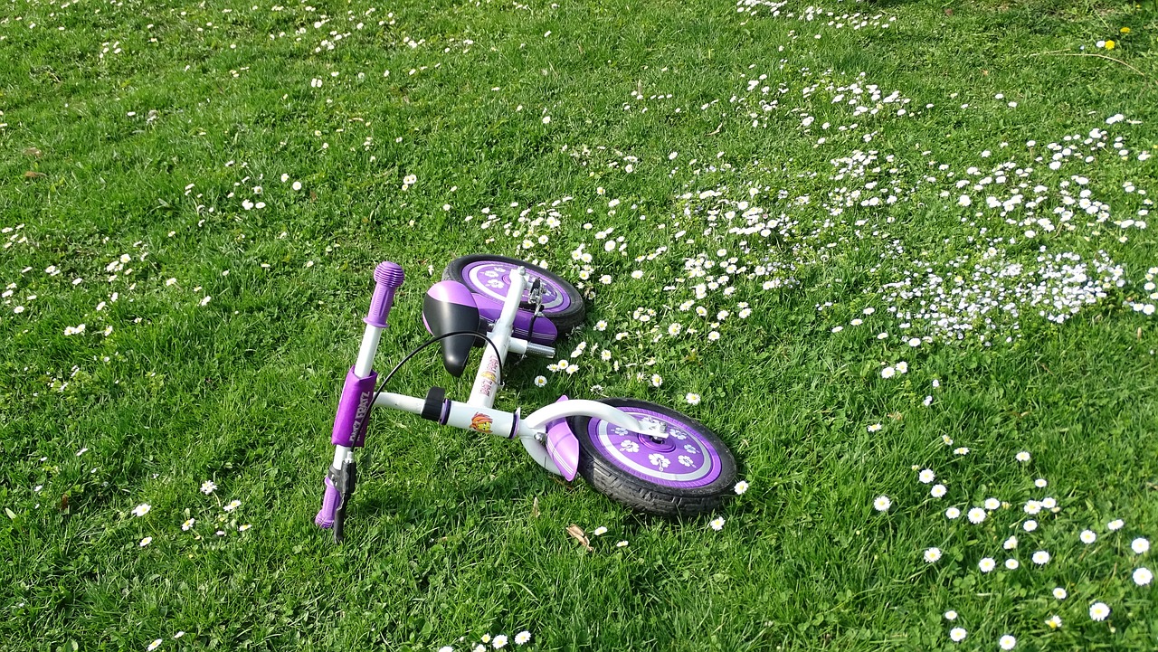 长春台风最新信息及应对措施,实时动态与指南