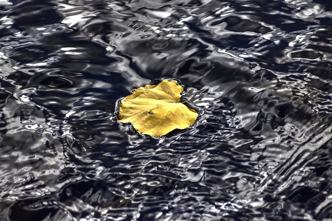 最新曲靖人事任免动态公布