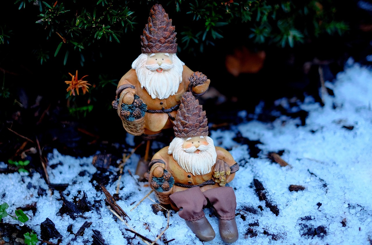 最新花瓣雨的诗意绽放与艺术魅力探秘