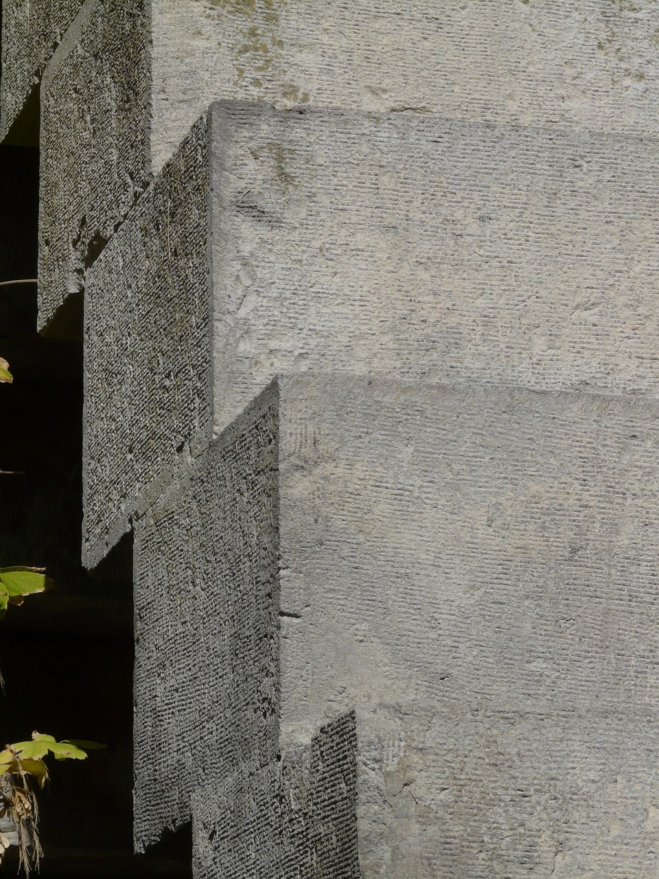 北城柳絮飘 第28页