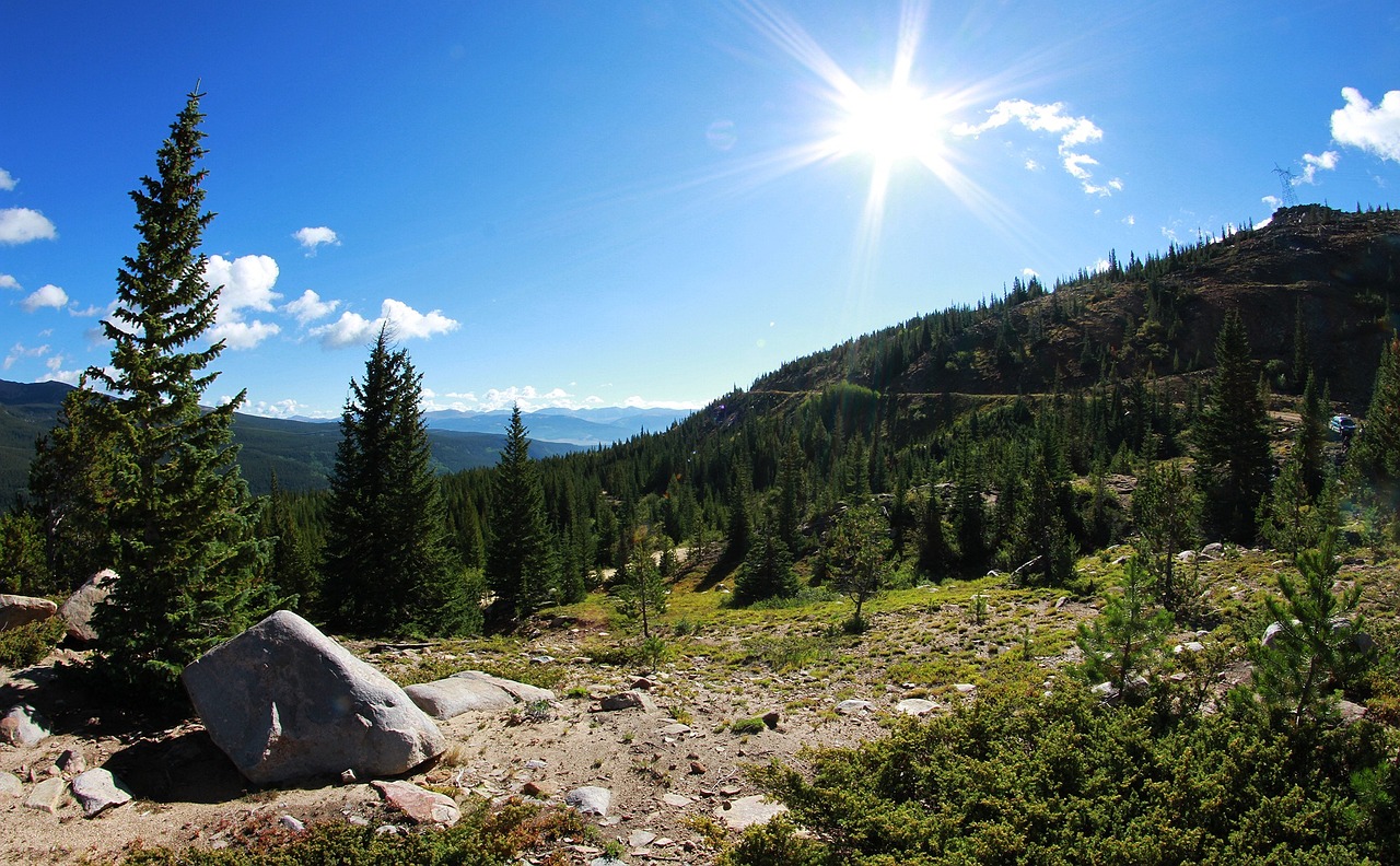 邵珮诗最新动态，艺术之旅的无尽探索