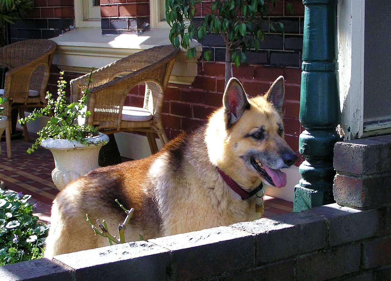 全球疫情观察，疑似病例最新动态报道