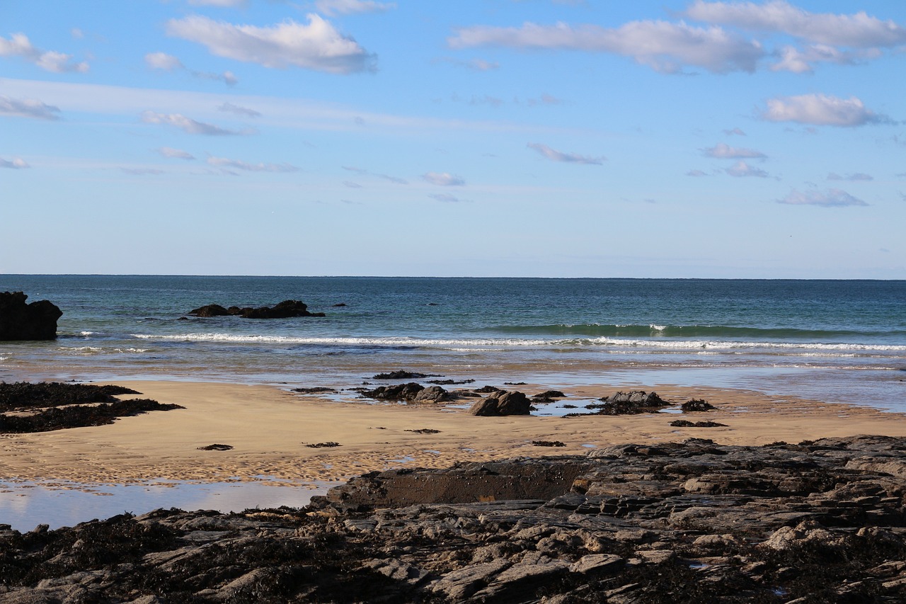 河北最新天气概览及气象动态更新通知