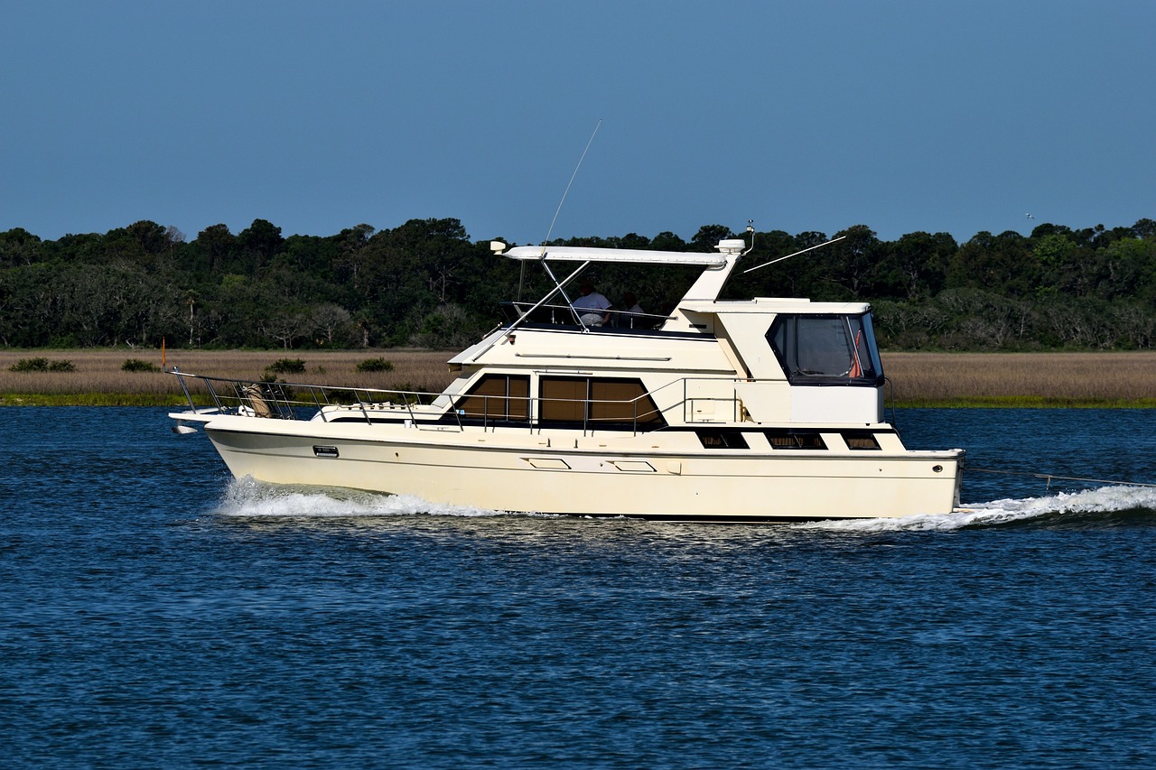 海贼路飞最新动态，热血航海征程继续，粉丝期待不已