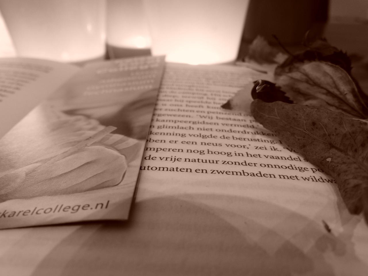 探索文学的新疆界，最新佳作一览