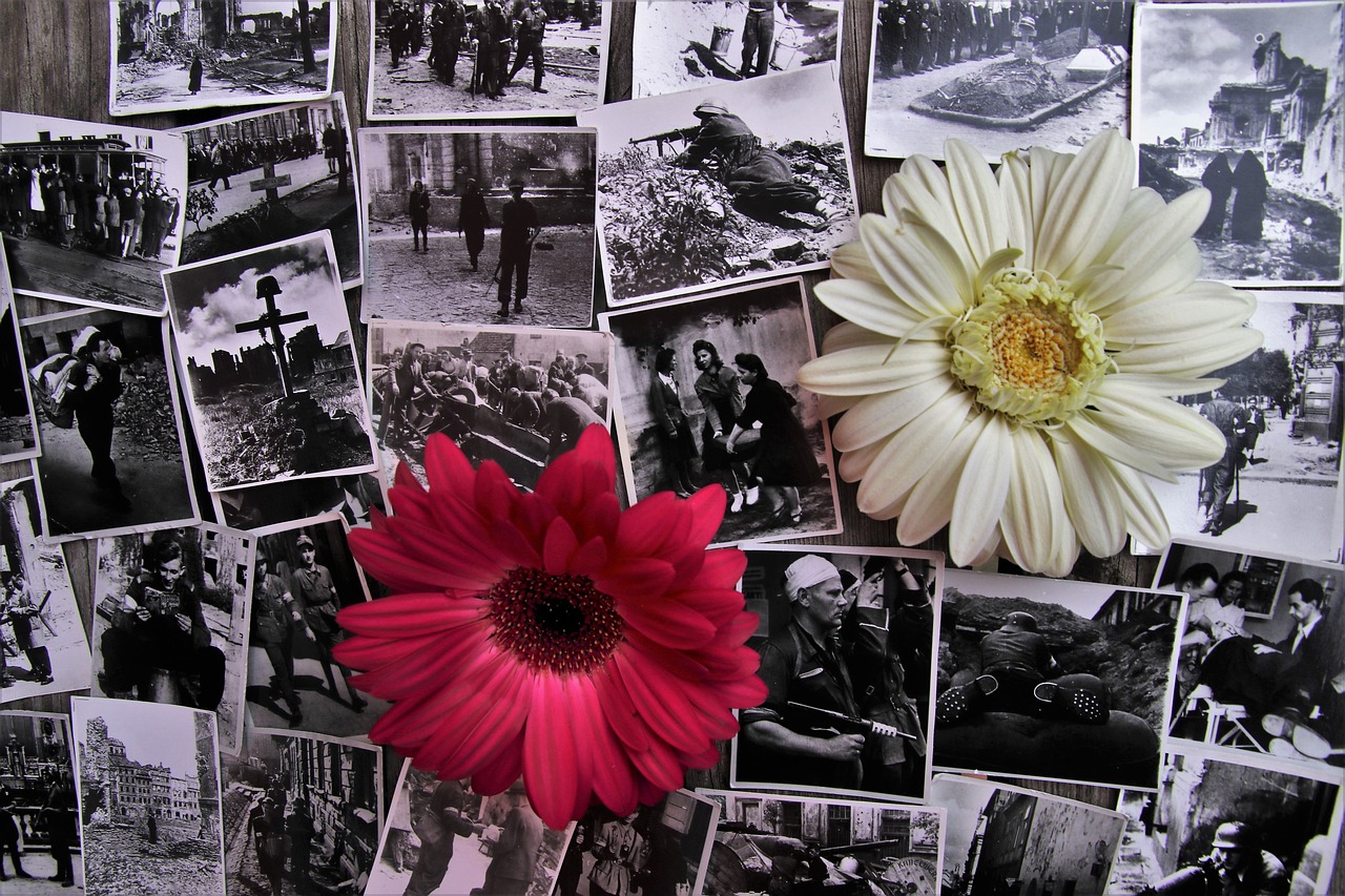 最新抗战片推荐，铭记历史，传承英勇精神