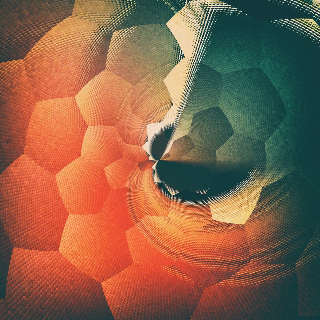 新时代网络图像共享，网图群最新动态探索