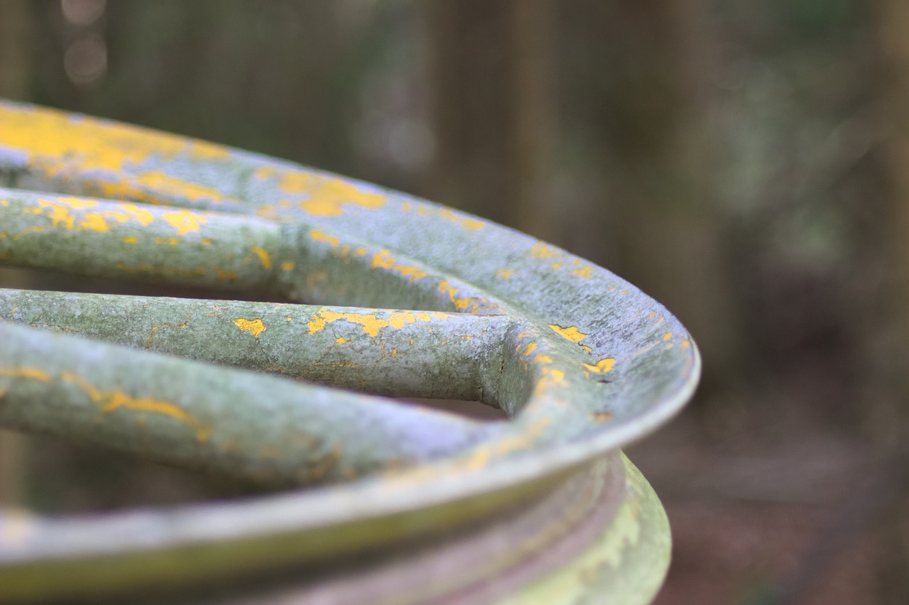 罗平最新事件聚焦,当地热点与发展动态全解析