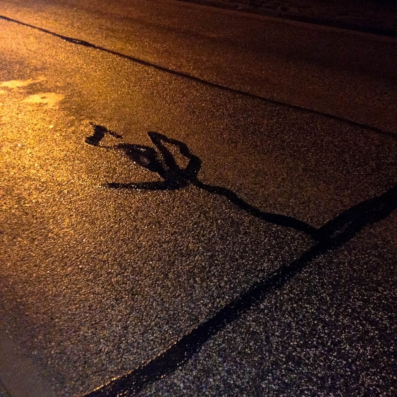 湿乐园最新动态，聚焦健康积极内容，探讨现代娱乐业发展趋势