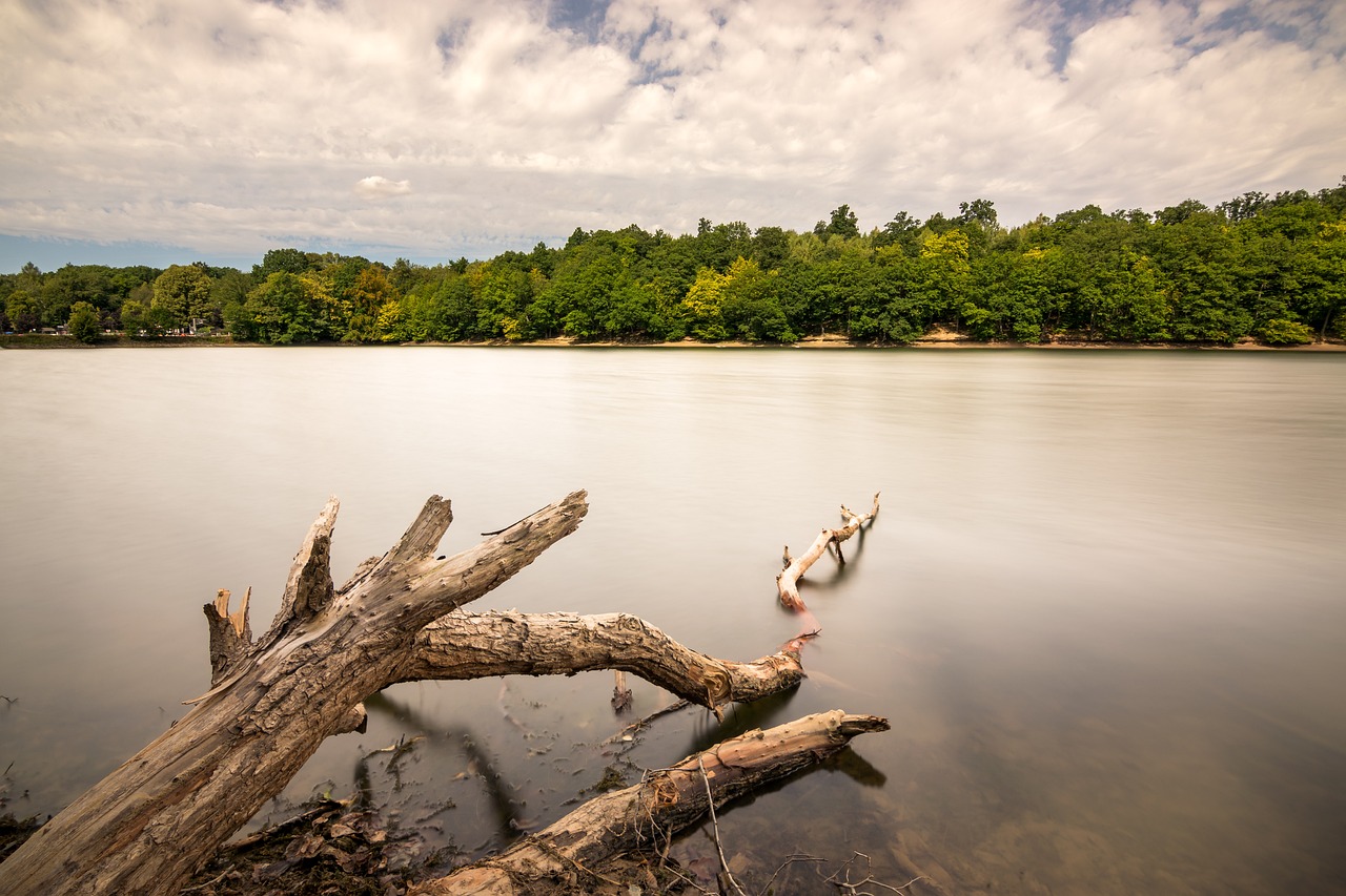 汉密尔顿最新疫情动态分析与更新