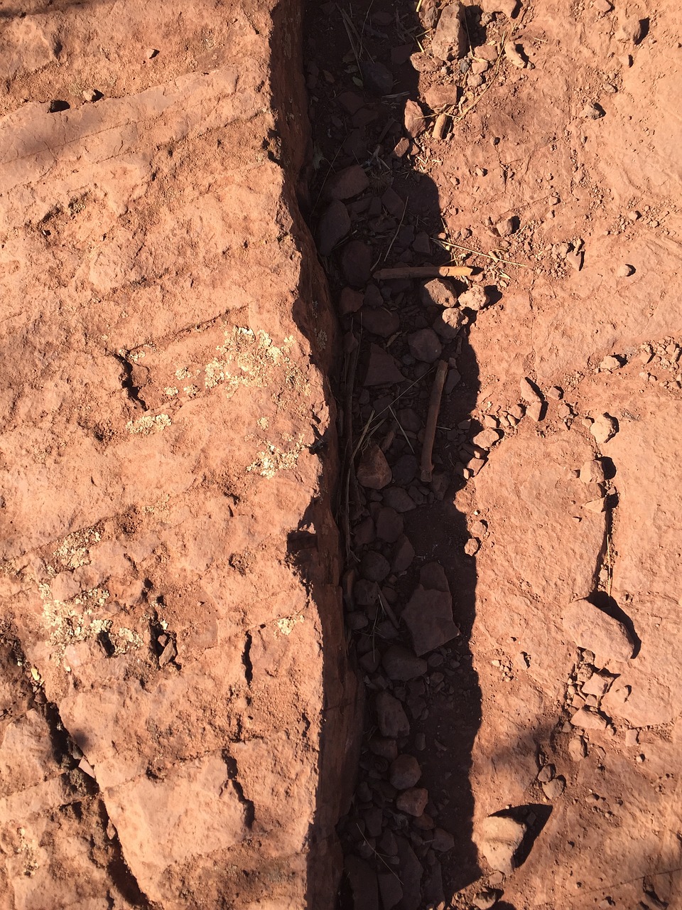 尾鱼小说最新动态,探索未知,传奇续写之路