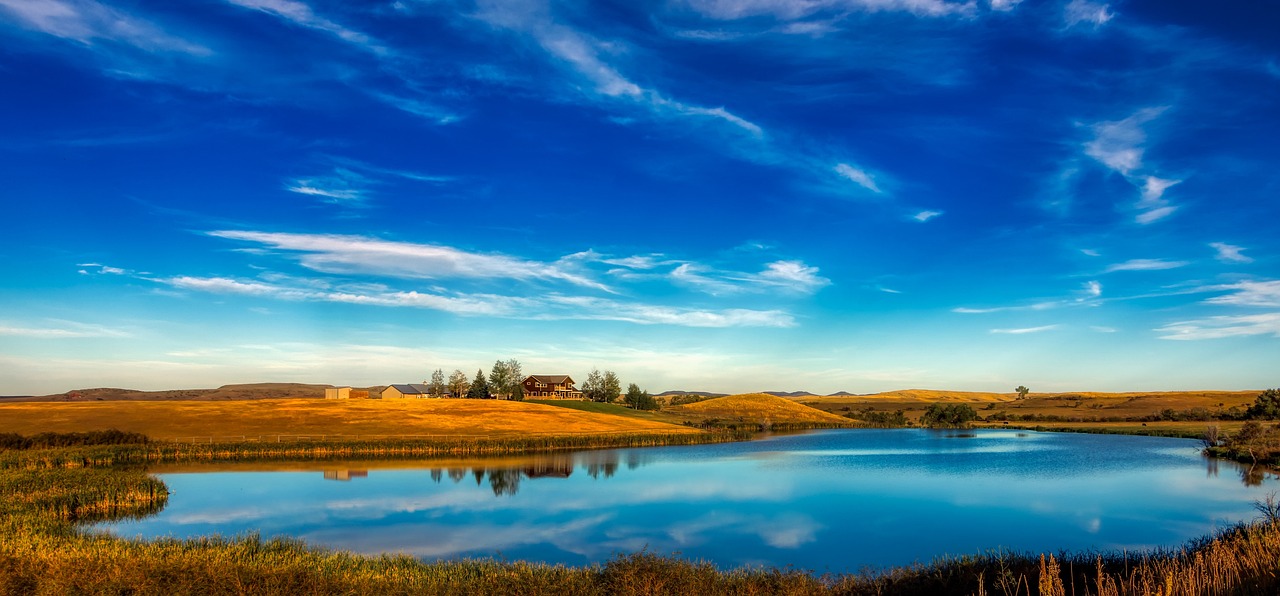 美国期指最新动态解析,市场走势与影响因素深度剖析