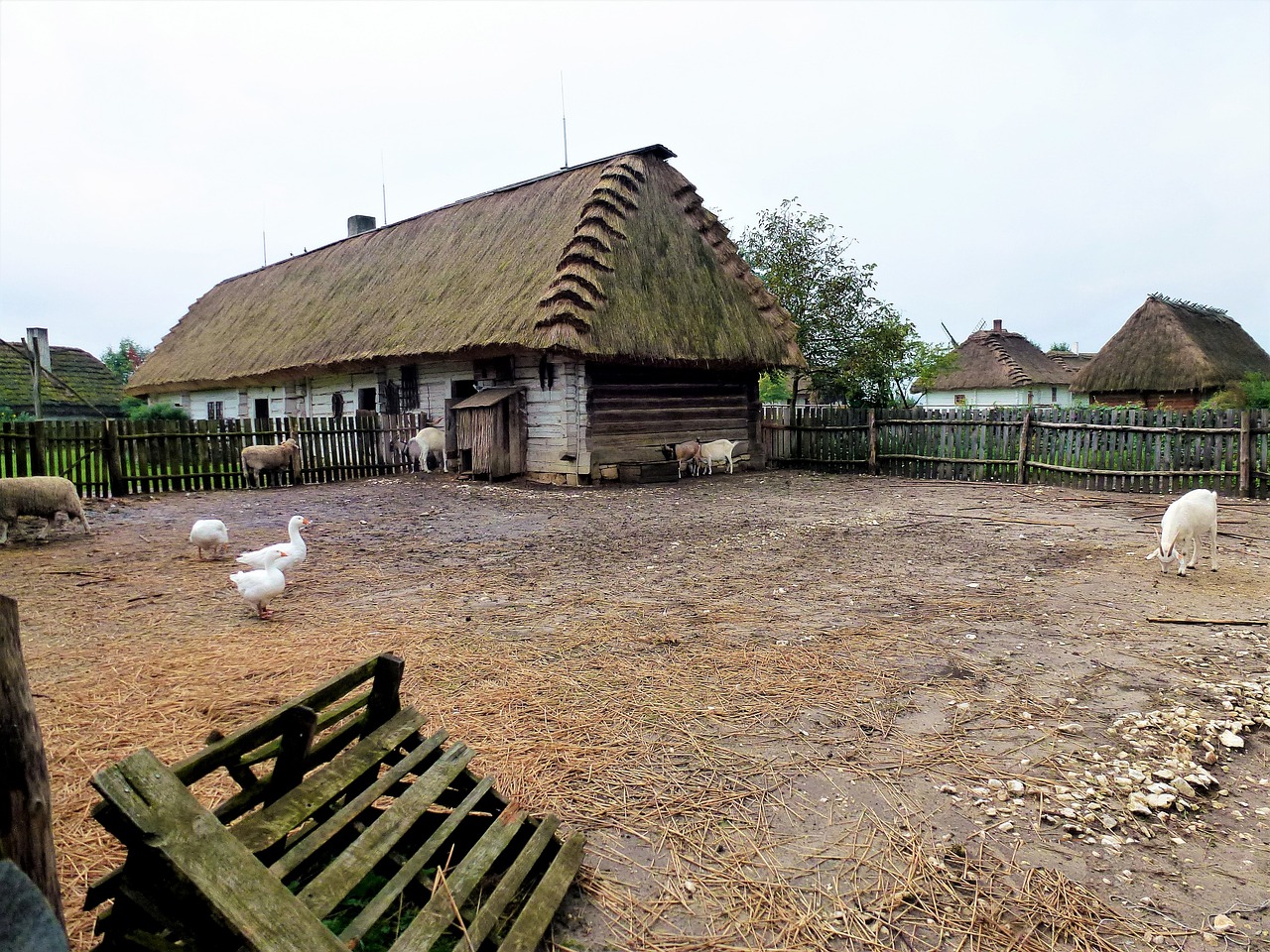 农村拆迁，挑战与机遇并存的新动态