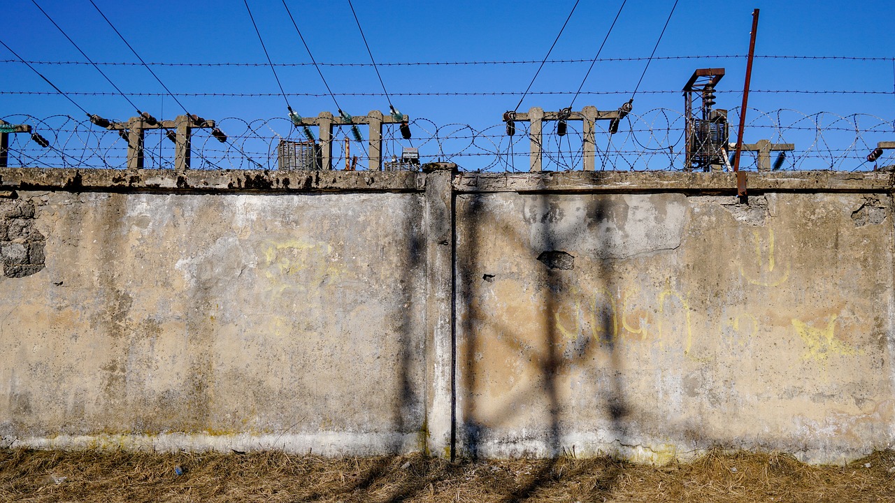 增福康最新动态，引领健康科技，塑造智能生活新标杆
