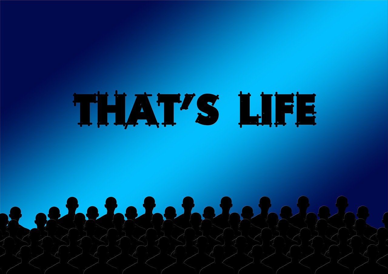 最新电影影院体验，科技与电影的极致融合之旅