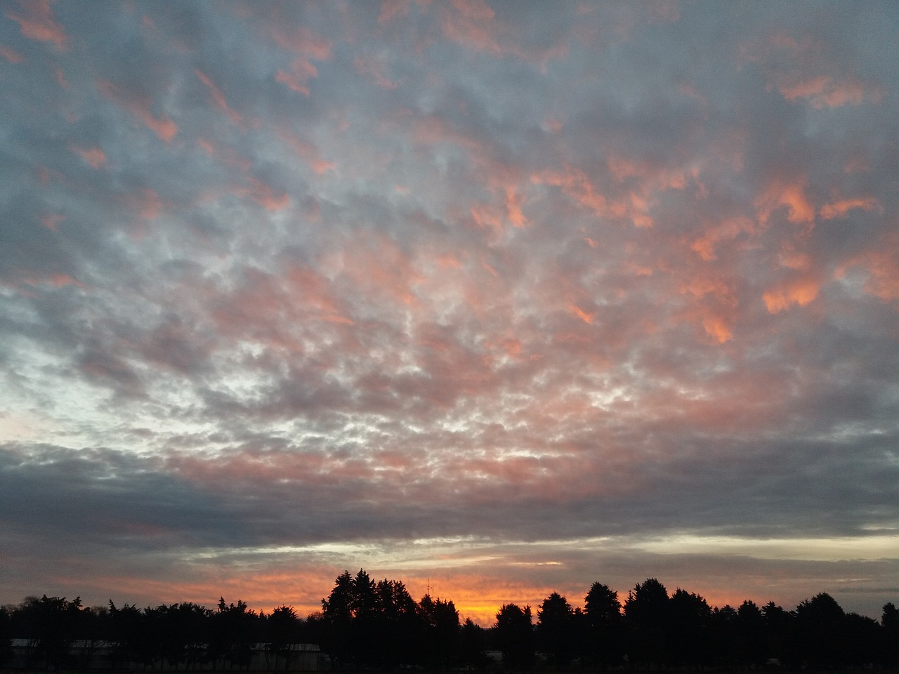 金秋最新图片,自然之美的视觉盛宴探索