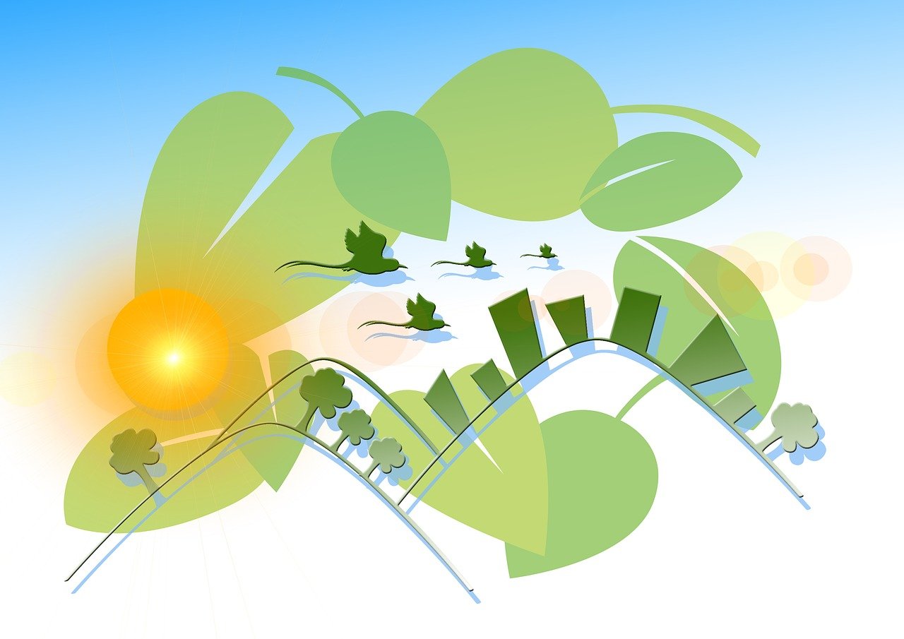 最新野生法,保护自然生态,助力可持续发展