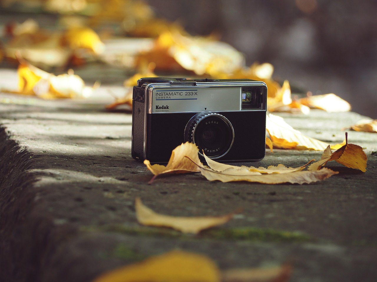 最新情头头像流行趋势，探索个性魅力的风尚之选