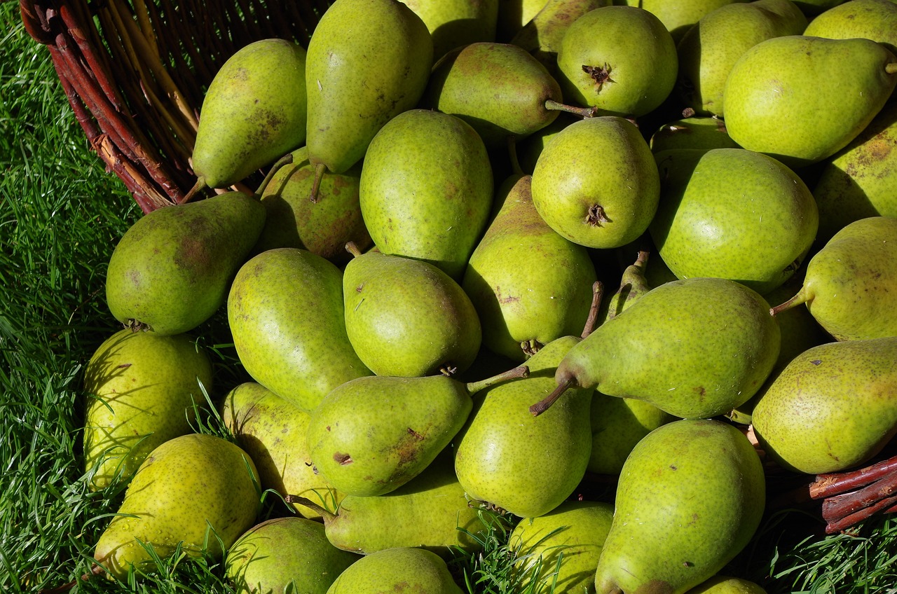 周口高铁最新动态，迈向高速发展的新时代