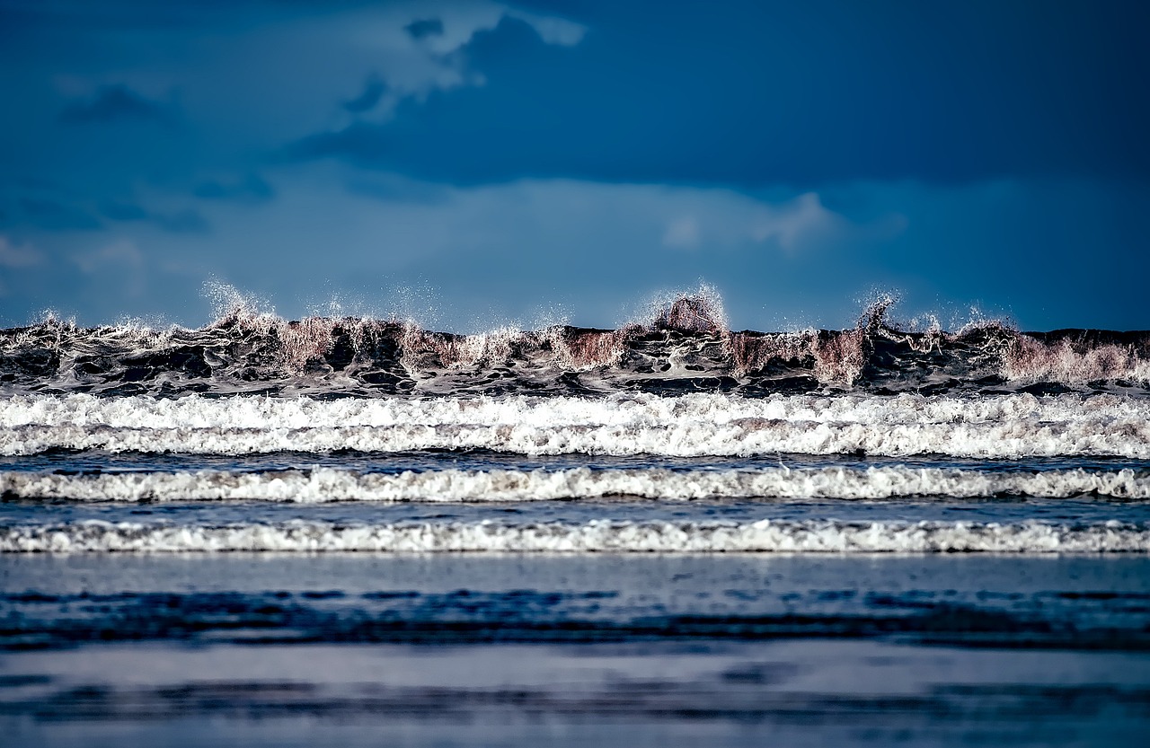 海鸥最新版,探索、创新与发展之路