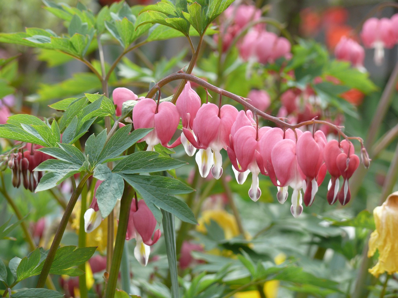 许某馨最新动态，成长轨迹与未来展望