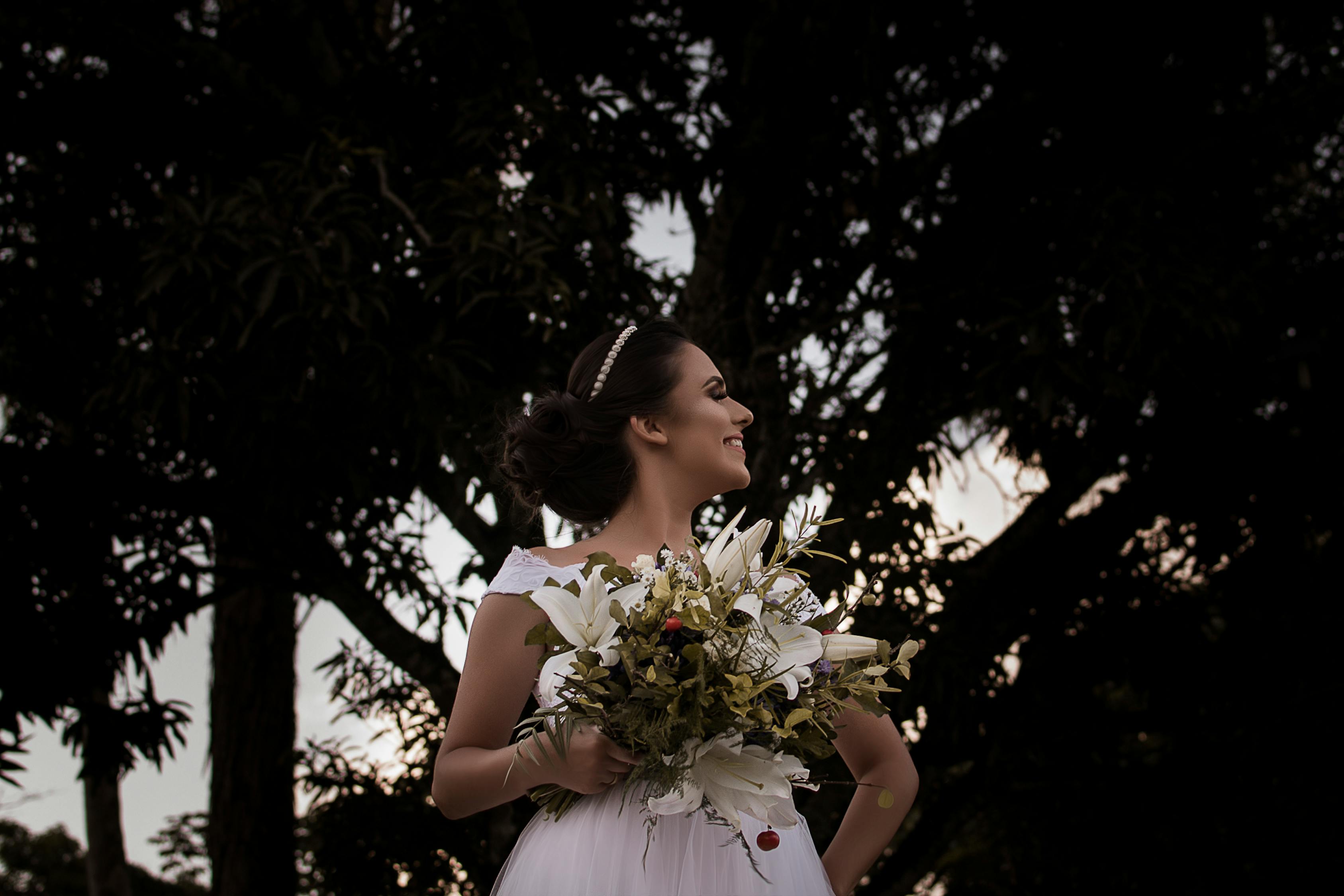 陈情令最新花卉的魅力与背后故事探寻