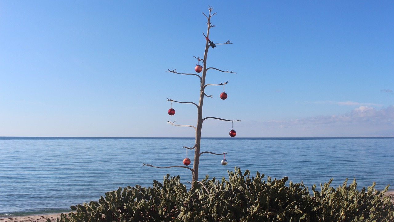 蛋黄派最新动态,创新发展与口味无限探索之旅