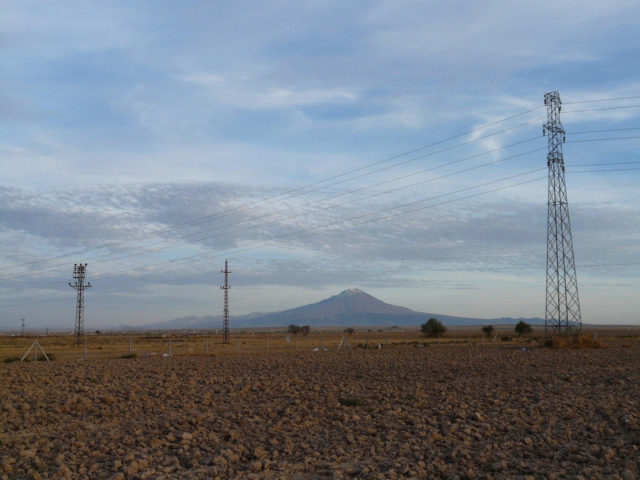 刘峻泽的最新动态与成就概览