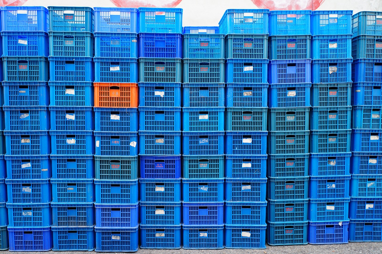 豆一最新动态，农业产业创新先锋，引领未来发展之路