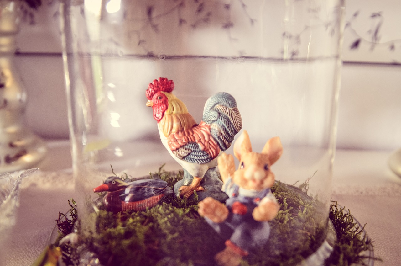 7777788888管家婆老家：兔、鸡、兔、鸡中