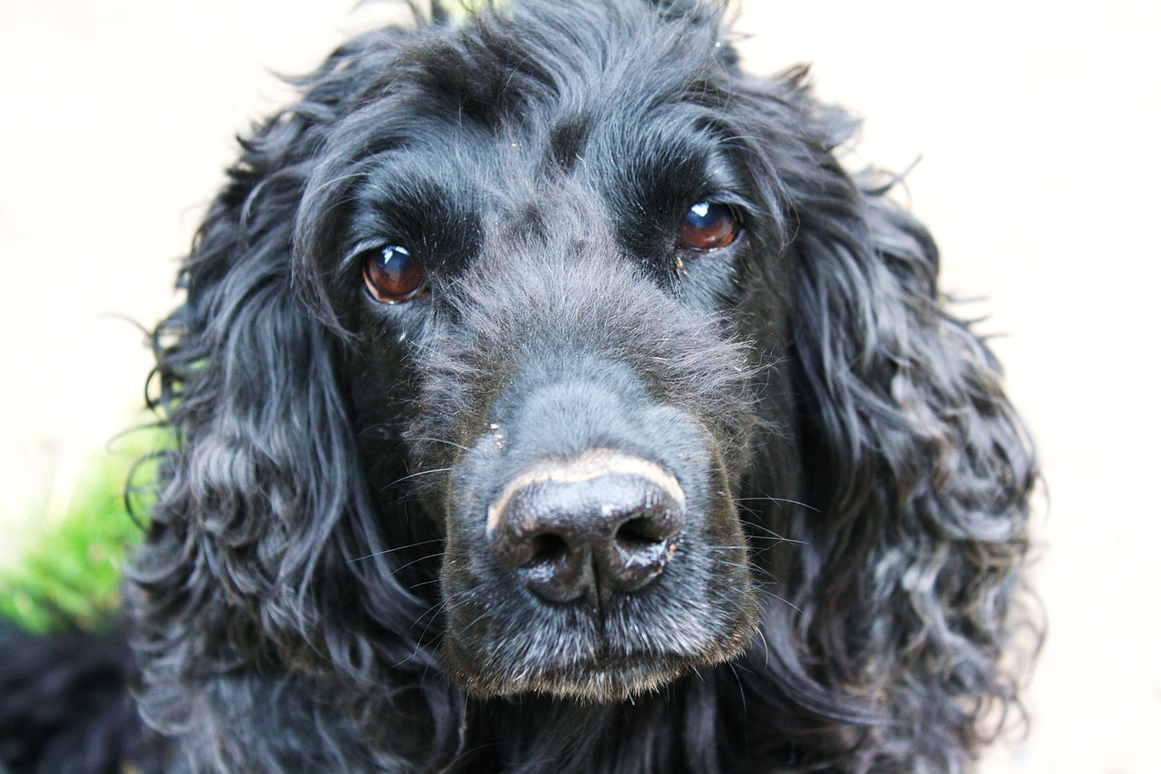 2025年1月 第411页