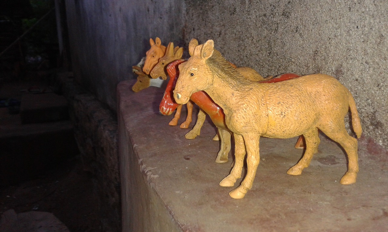 新澳2024正版资料大全:虎、蛇、马、羊中