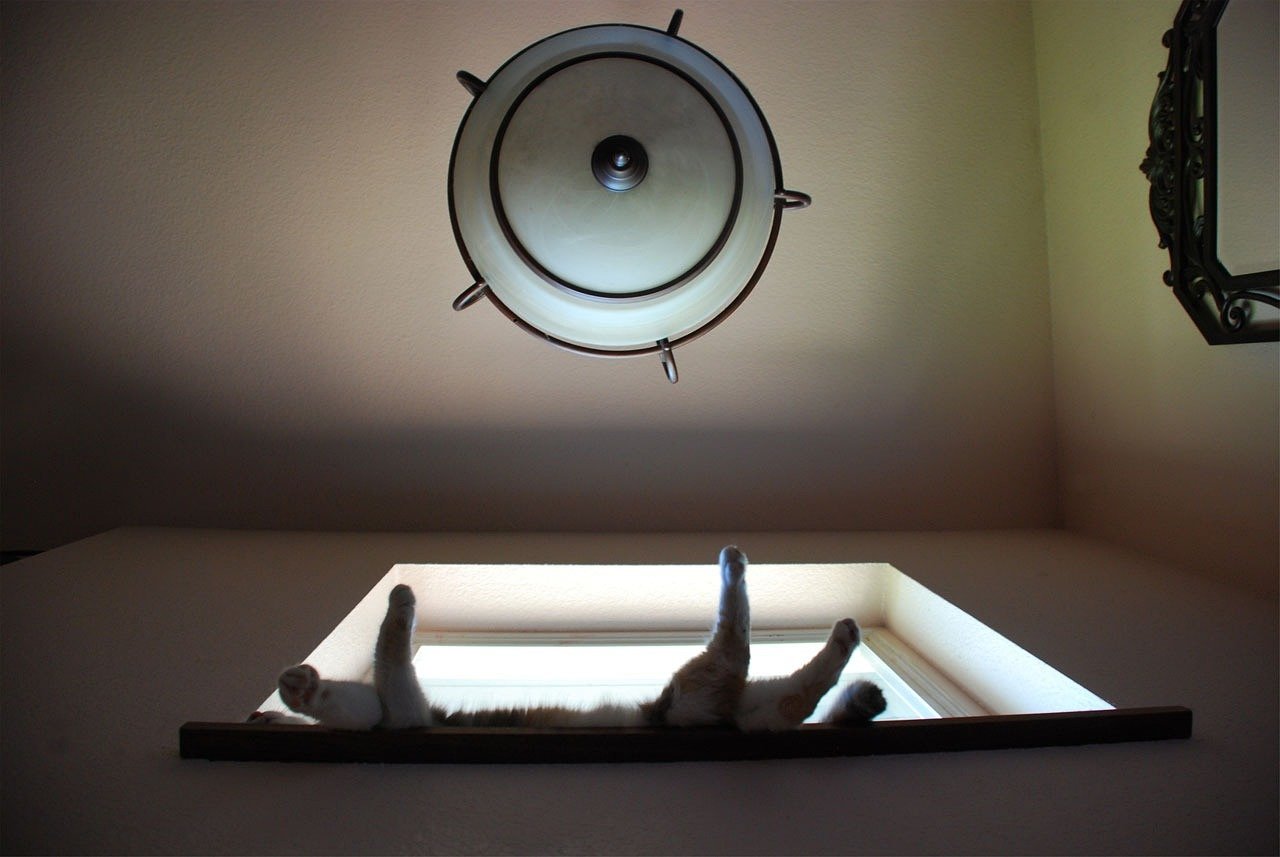 秦二霸的最新动态及其影响概述