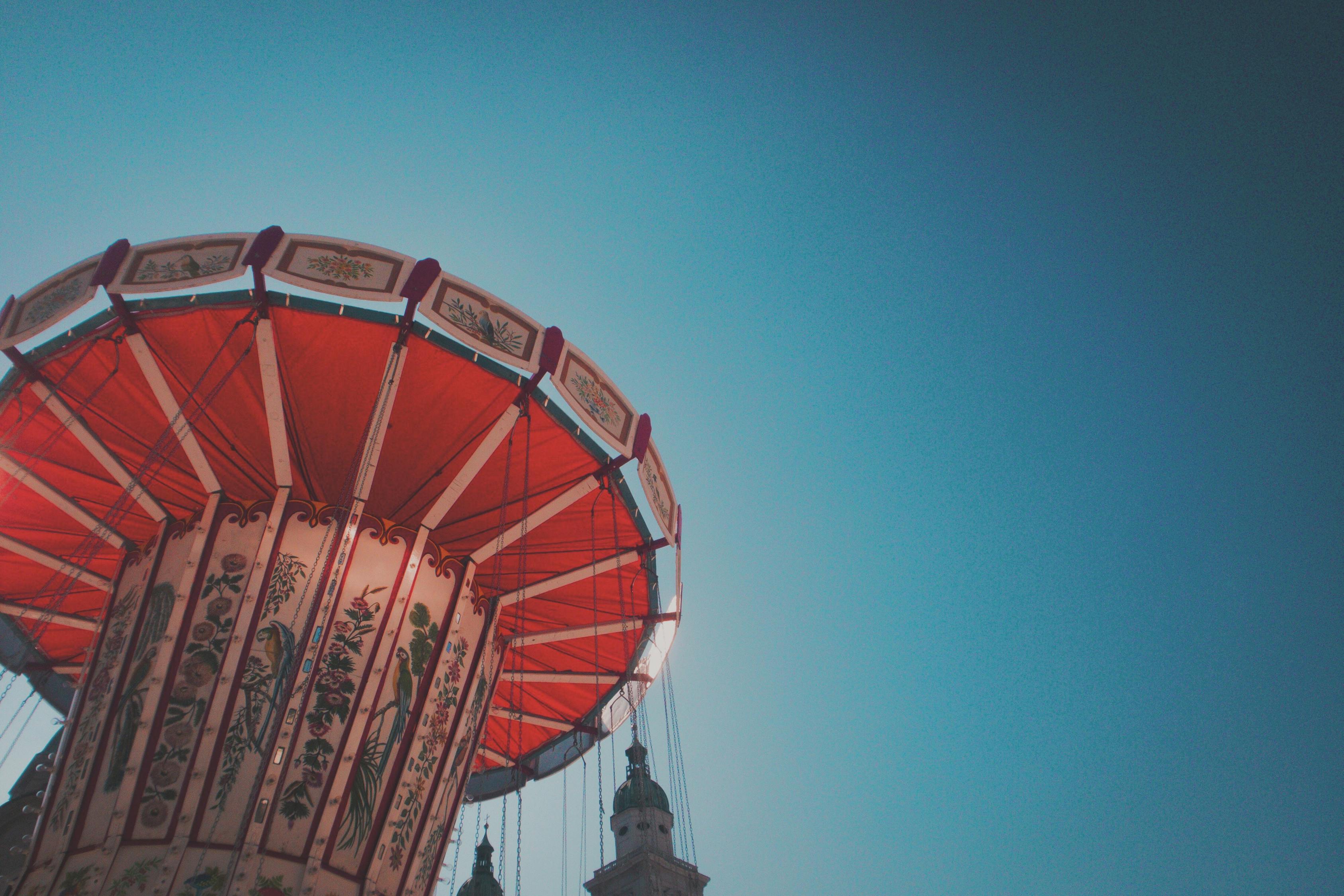 最新明日猪价格及动态分析概览