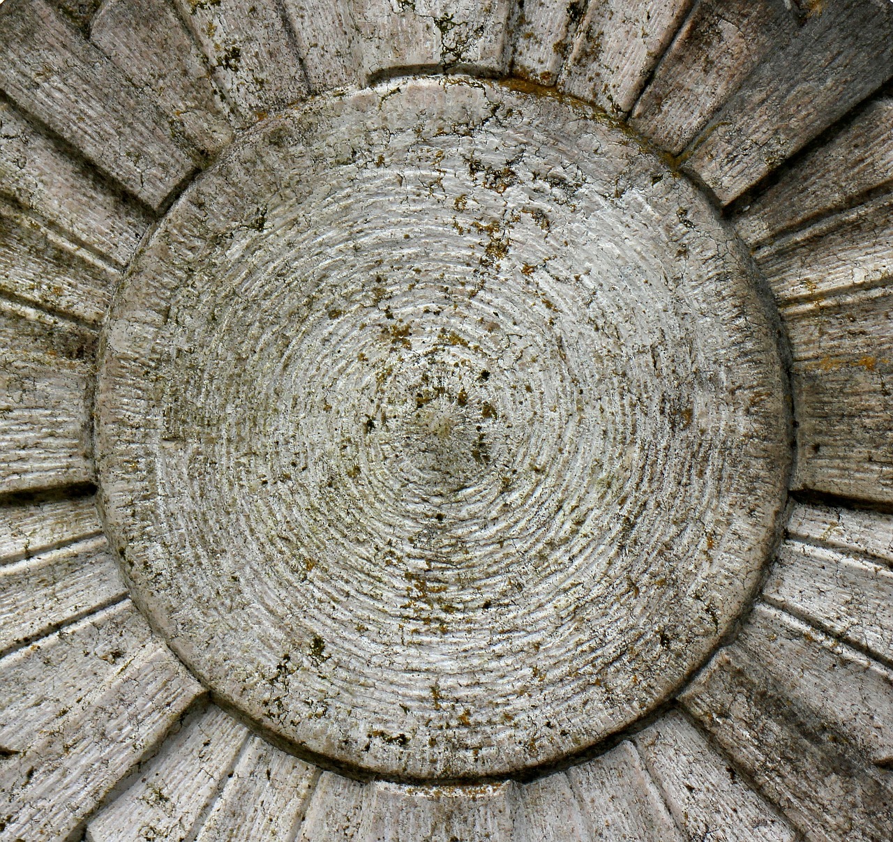 王鸥综艺最新动态,展现多元魅力,引领娱乐新风潮