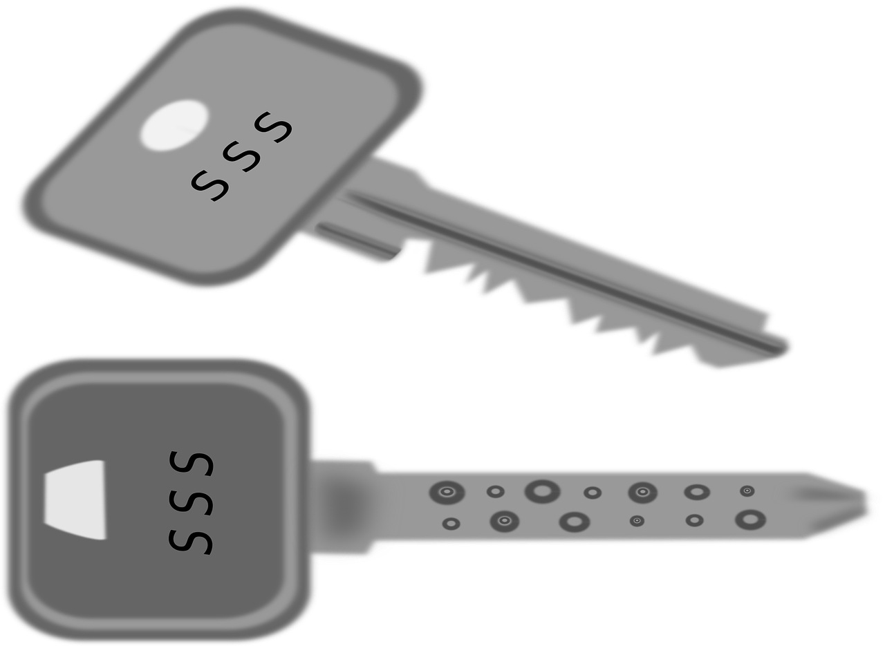 卧龙熊猫基地最新动态,保护与研究的新篇章开启