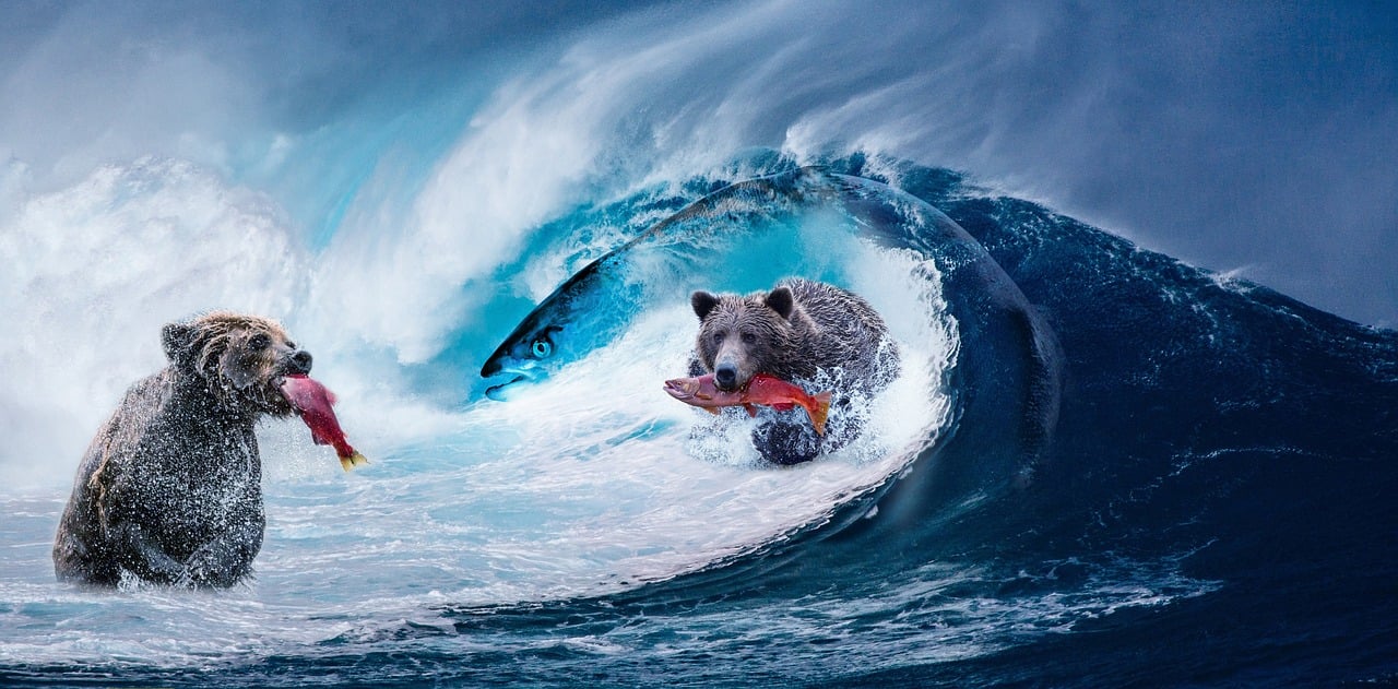 最新治愈系图片，温暖心灵的力量之美