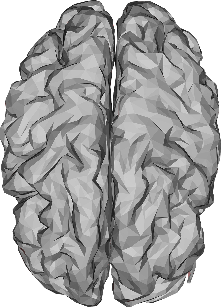 阜阳最新医情概览，最新医疗动态与进展速递