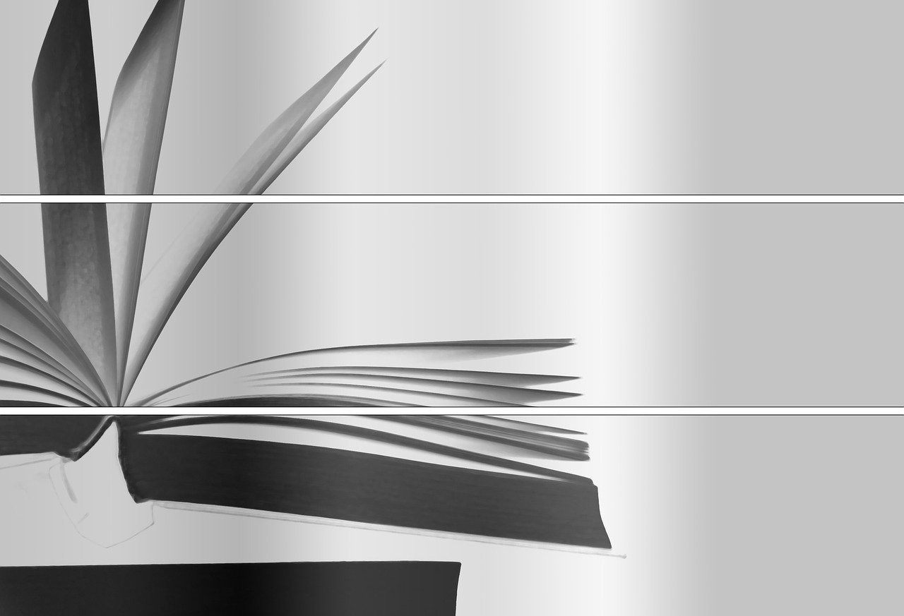 益阳最新发展动态，城市建设的崭新篇章启动