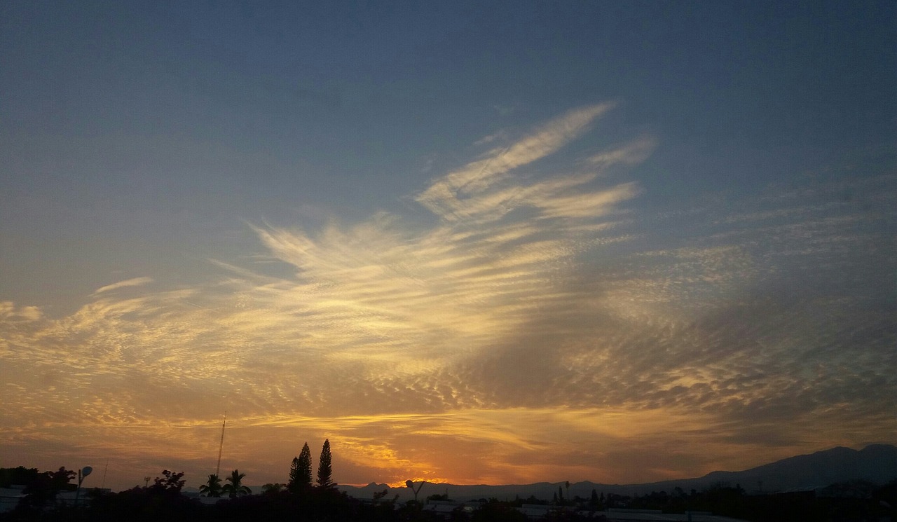 新时代旅游趋势与挑战，最新动态与探索之旅