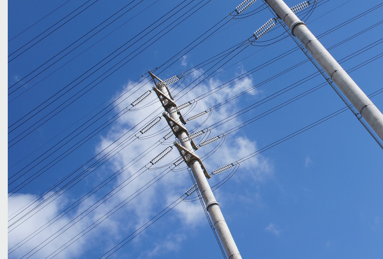 温州最新管控动态，城市管理的创新与实践探索