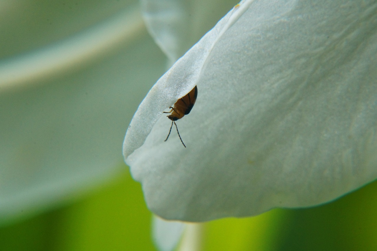 申公豹最新动态揭秘,一个前所未有的视角观察报道!